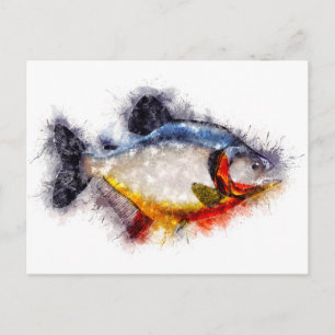 Carte Postale Piranha à ventre rouge Aquarelle monstre de poisso