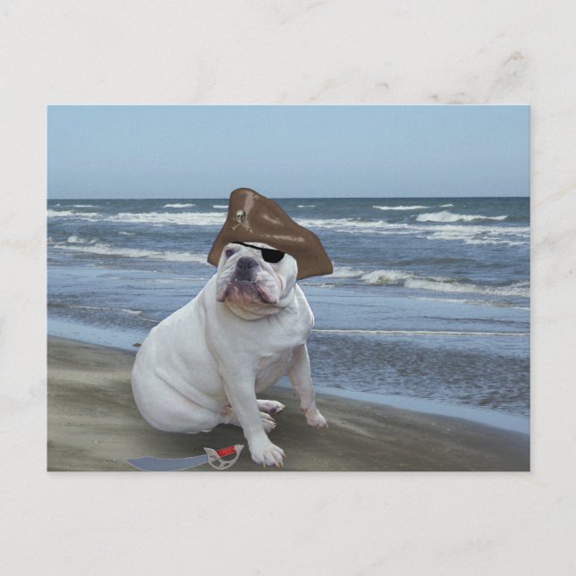 Carte Postale Pirate Bulldog sur la plage (Devant)