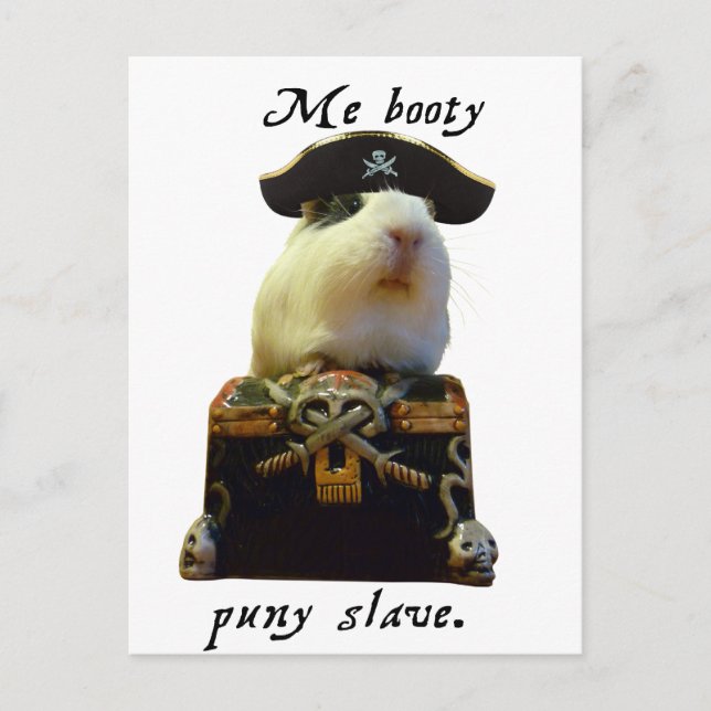Carte Postale Pirate drôle de porc de Guinée (Devant)