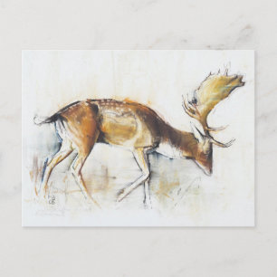 Carte Postale Pisanello Buck 2006