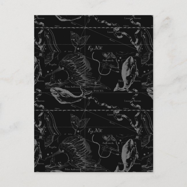 Carte Postale Pisces Constellation Hevelius 1690 sur Black (Devant)