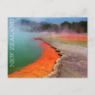 Carte Postale piscine champagne nouvelle-zélande