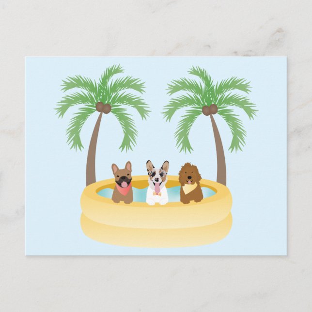 Carte Postale Piscine pour chiens d'été (Devant)