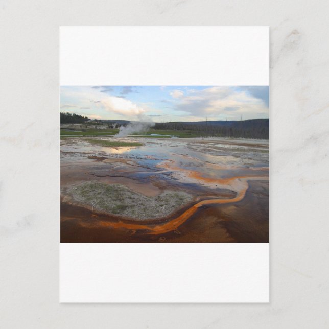 Carte Postale Piscines thermales de Yellowstone (Devant)