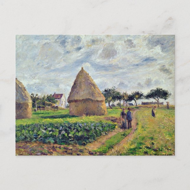 CARTE POSTALE PISSARRO - HISTOCQUES ET PATCH DE CABBAGE, (Devant)