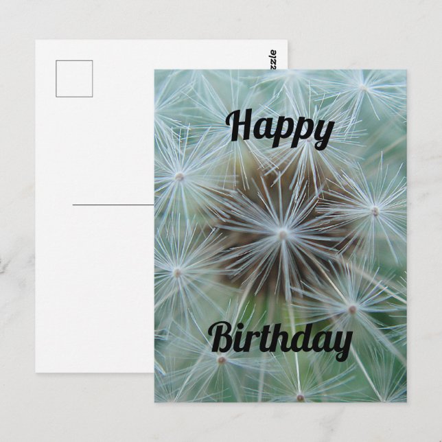 Carte postale Pissenlit blanc (Devant / Derrière)