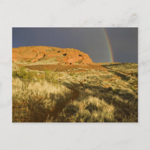 Carte Postale Piste cyclable à Red Cliffs Desert Preserve près d