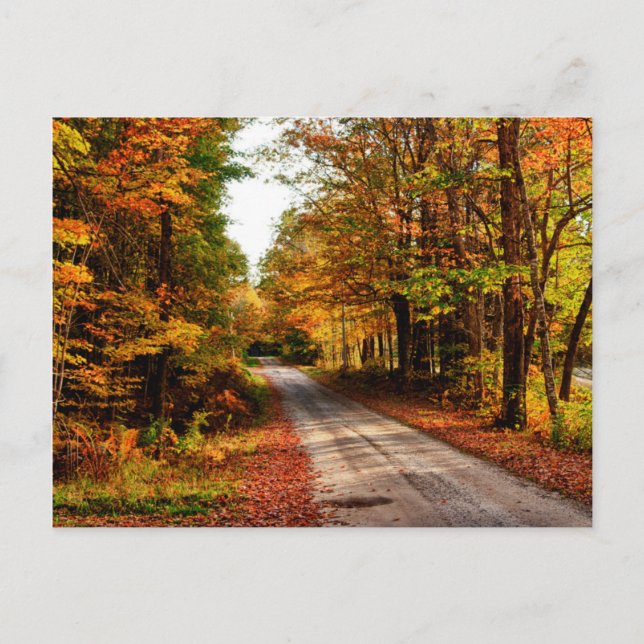 Carte Postale Piste de bois avec feuillage d'automne (Devant)