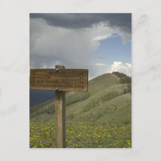 Carte Postale piste de pointe
