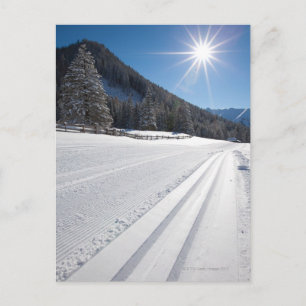 Carte Postale piste de ski de fond fraîchement préparée dans un 