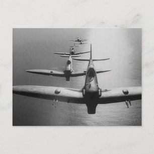 Carte Postale Piste de tir à la puce