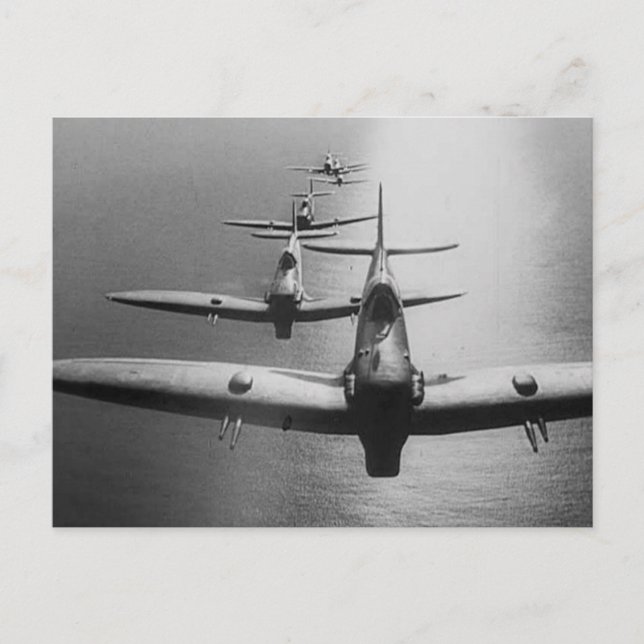 Carte Postale Piste de tir à la puce (Devant)