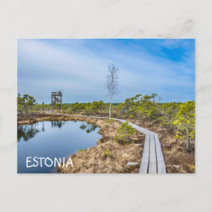 Carte Postale Piste en bois au-dessus du marais en Estonie