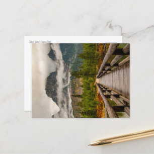 Carte Postale Piste forestière