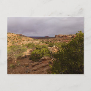 Carte Postale Piste Neck Springs au parc national des Canyonland