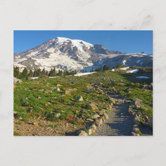 Carte Postale Piste Skyline Mount Rainier (Devant)