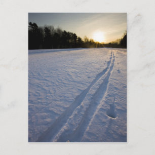 Carte Postale Pistes de ski à la réserve de Willowbrook Farm dan