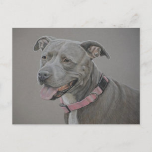 Carte postale Pit Bull Dog Art