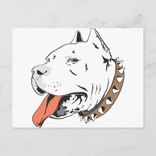 Carte Postale Pitbull (Devant)