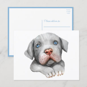 Carte Postale Pittie Puppy Chien Aimer Bonjour Pitbull