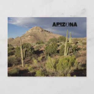 Carte postale Pittoresque Arizona
