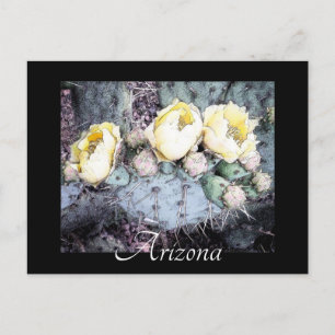 Carte postale pittoresque Arizona Cactus Flower Di