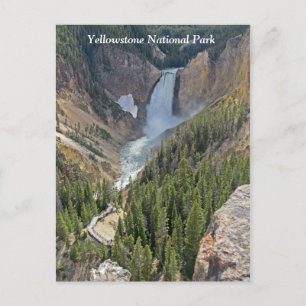 Carte postale Pittoresque du parc national Yellows