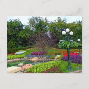 Carte Postale Pittoresque Gardens II Orlando, FL
