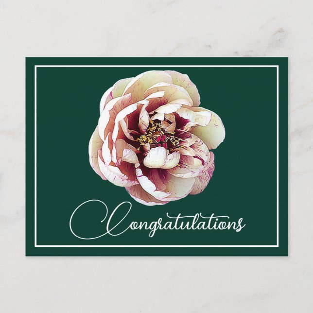 Carte Postale Pivoine blanche cramoisie Fond vert Félicitations (Devant)