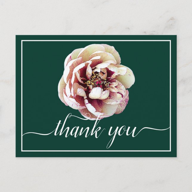 Carte Postale Pivoine blanche et cramoisie Fond vert Merci (Devant)