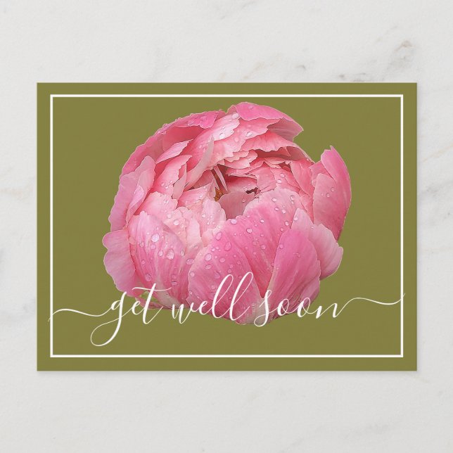Carte Postale Pivoine rose avec gouttes de rosée sur fond vert p (Devant)