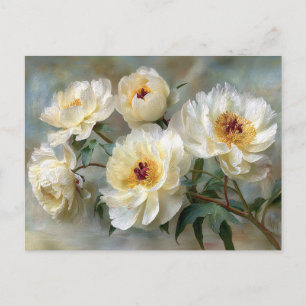 Carte Postale Pivoines blanches élégantes en fleurs