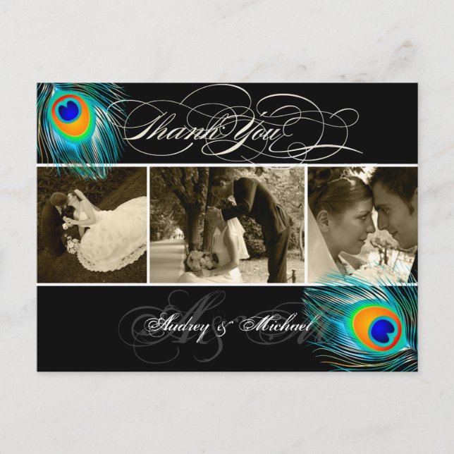 Carte Postale PixDezines Peacock Mariage Photos Merci (Devant)