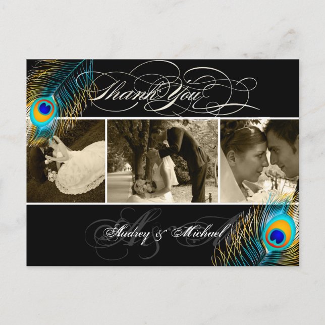 Carte Postale PixDezines Peacock Mariage Photos Merci (Devant)