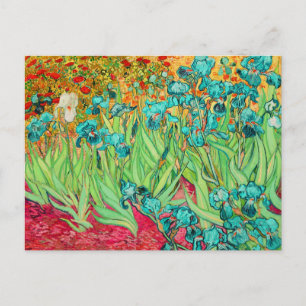 Carte Postale PixDezines Van Gogh iris/st. remy