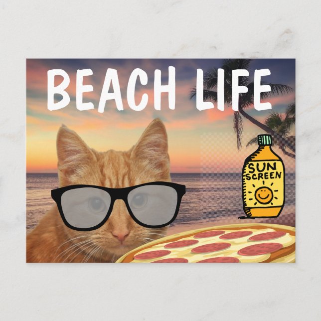 CARTE POSTALE PIZZA GINGER CAT BEACH SUNGLASSES (Devant)