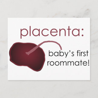 Carte Postale placenta, le premier compagnon de chambre du bébé