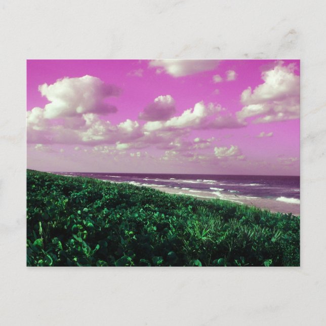 carte postale plage (Devant)