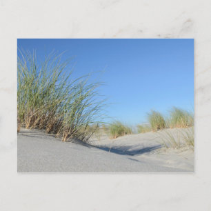 Carte Postale Plage