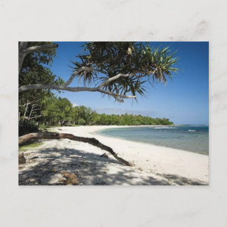 Carte Postale Plage australienne