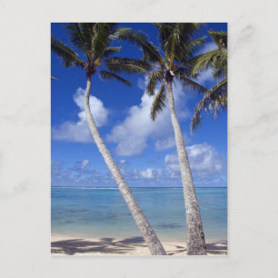 Carte Postale Plage bordée de palmiers Îles Cook