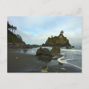 Carte Postale Plage cachée II du parc national de Redwood