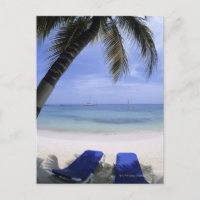 Plage, Chaise Longue, Palmier, Horizon Au-Dessus