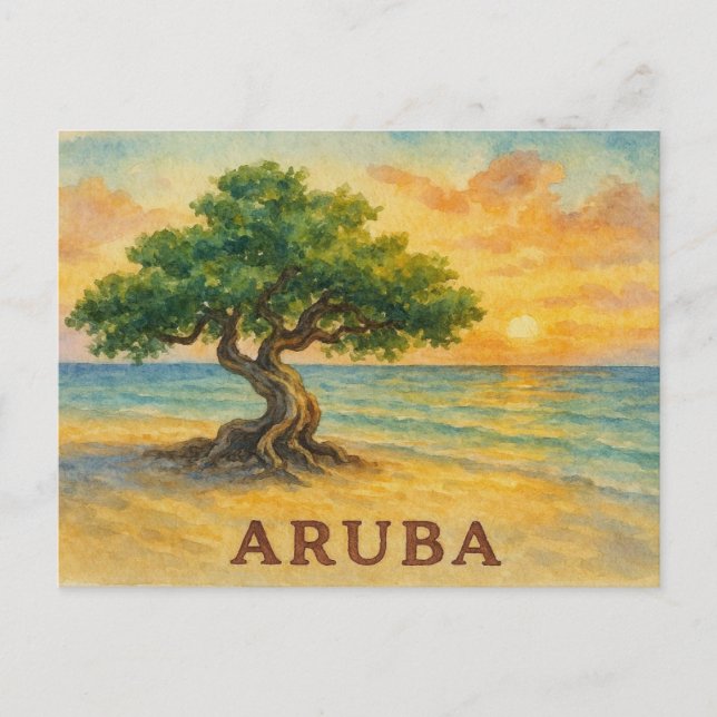 Carte Postale Plage d'Aruba Eagle Divi Tree à l'heure dorée (Devant)