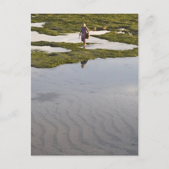 Carte Postale Plage de Bali (Devant)