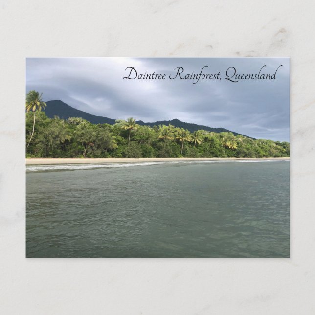 Carte Postale plage de Daintree (Devant)