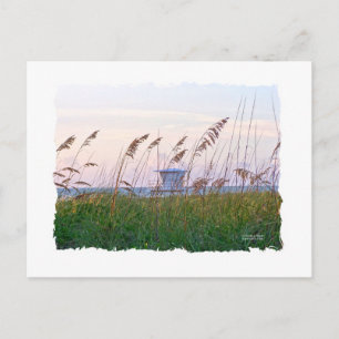 Carte Postale Plage de Floride coucher de soleil rose et violet