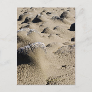 Carte Postale Plage de l'Oregon