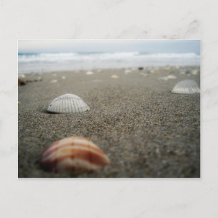 Carte Postale Plage de Melbourne, Floride