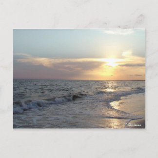 Carte Postale Plage de Mexico, Floride